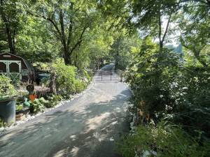 Smooth, curvy, paved driveway lined with trees
